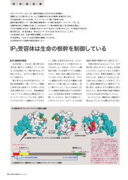 IP3受容体は生命の根幹を制御している