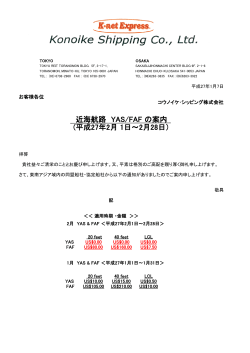 近海航路 YAS/FAF の案内