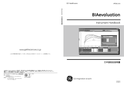 BIAevaluation （Ver.3、4共通）