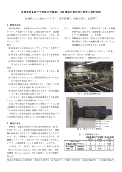 冬期道路条件下での排水性舗装とSMA 舗装の有効性に