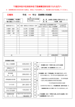 医療費の明細書 ＜記載例