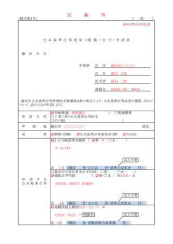 記 載 例