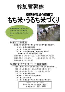 表丹沢菩提の棚田で - 表丹沢菩提里山づくりの会