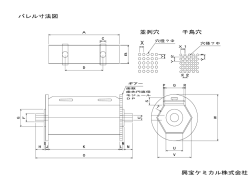 並列穴 千鳥穴 バレル寸法図 興宝ケミカル株式会社