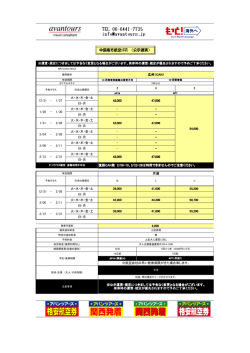 中国南方航空(CZ) （公示運賃）