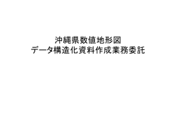 H26DM構造化沖縄県数値地形DM構造化図の構造沖縄県数値地形図