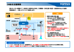 DM総合支援業務