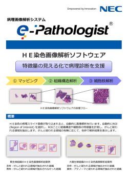 概要 病理画像解析システム HE染色画像解析ソフトウェア