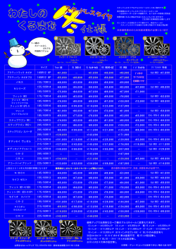 サイズ Toyo G5 DL DSX-2 DL ｳｨﾝﾀｰﾏｯｸｽ BS REVO-GZ
