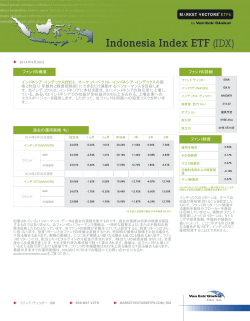 ファンドの概要 インドネシア・インデックスETFは、マーケット・べクトル