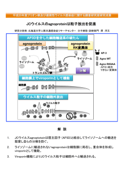 JCウイルスのagnoproteinは粒子放出を促進