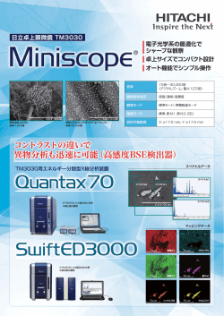 コントラストの違いで 異物分析も迅速に可能（高感度BSE検出