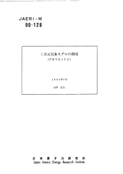 JAERI-M-90-128:1.16MB