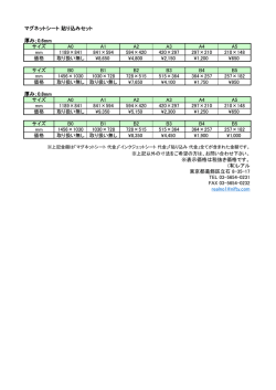 マグネットシート 貼り込みセット 厚み；0.6mm サイズ A0 A1 A2 A3