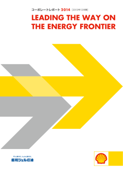 LEADING THE WAY ON THE ENERGY FRONTIER
