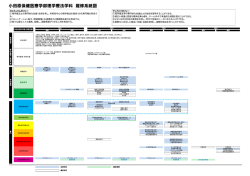H26 P8 PT履修系統図.xlsx - 国際医療福祉大学 小田原保健医療学部