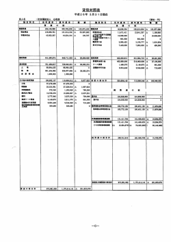 財務諸表（PDF：249KB）