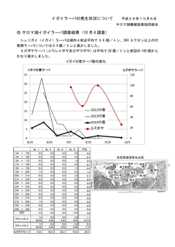 サロマ湖イガイラーバ発生状況7（平成26年10月6日）