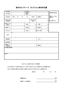 栃木SCレディース セレクション参加申込書