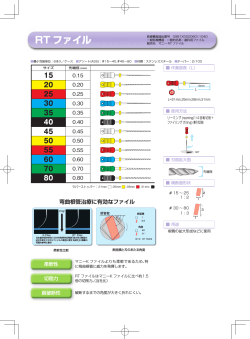 RT ファイル