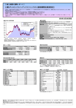 三菱UFJ トピックスインデックスファンドVA（適格機関