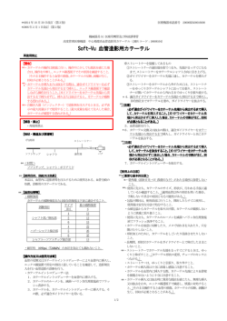 Soft-Vu 血管造影用カテーテル