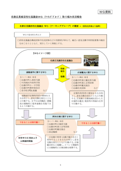 資料1（WG取り組み状況報告）
