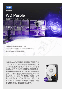 WD Purple™ Surveillance Storage