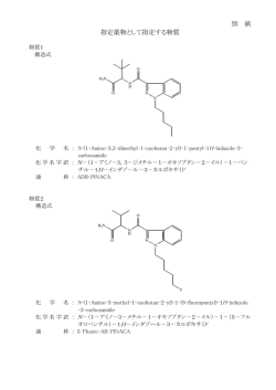 別紙（PDF：128KB）