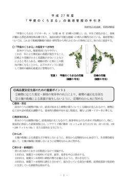 高品質安定生産のための重要ポイント1 ①樹勢に応じた剪定