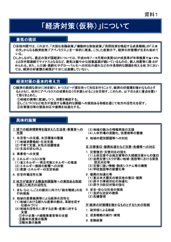 内閣府提出資料