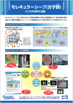 モレキュラーシーブ(分子篩)