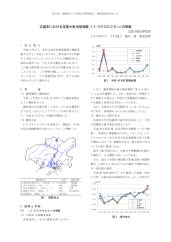 講演要旨(492KB)(PDF文書)