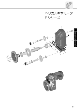 ヘリカルギヤモータ F シリーズ