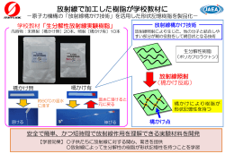 放射線橋かけ技術 - 日本原子力研究開発機構
