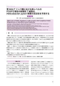 日本語抄訳内容はこちら