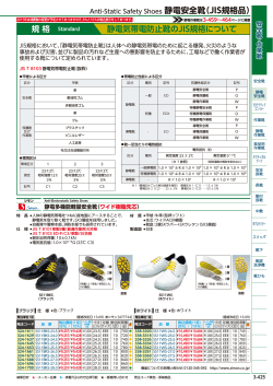 Anti-Static Safety Shoes 静電安全靴（JIS規格品）
