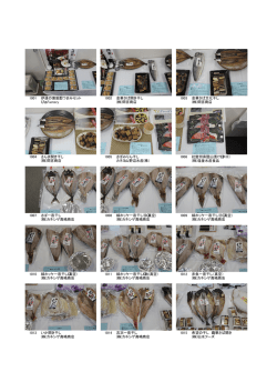 写真で見る [PDFファイル／1.29MB]