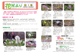 花だより - 箱根全山;pdf