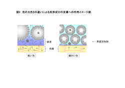 図2 泡の大きさの違いによる洗浄成分の皮膚への作用イメージ図;pdf