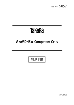 E.coli DH5α Competent Cells