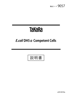 E.coli DH5&alpha; Competent Cells