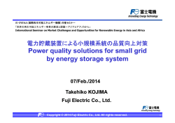 Power quality solutions for small grid by energy storage system by