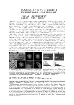 L10-FePd/α-Fe ナノコンポジット磁石における 硬軟磁性相界面の形成と