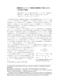 両親媒性スルファミド誘導体の展開単分子膜における 二次元超分子構造