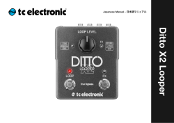 Ditto X2 Looper