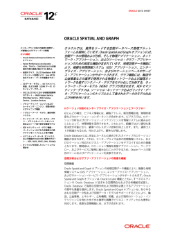 Oracle Spatial and Graphデータシート
