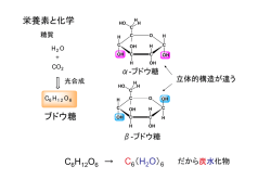 栄養素と化学 C H O &rarr; C （H O） ブドウ糖