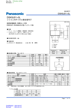 DSK9J01&times;0L