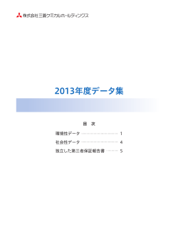 2013年度データ集(PDF:1.1MB)